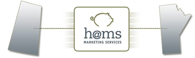 hams marketing services